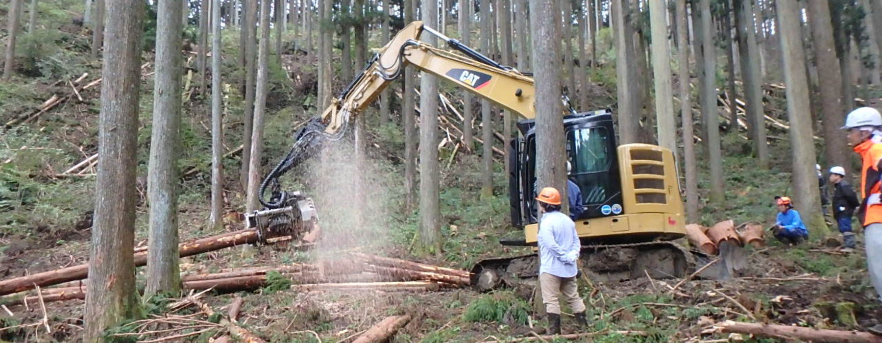 鹿沼ブランド優良スギ・ヒノキ