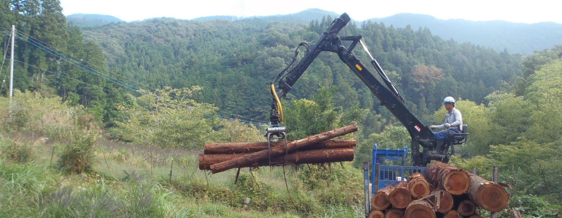 鹿沼ブランド優良スギ・ヒノキ