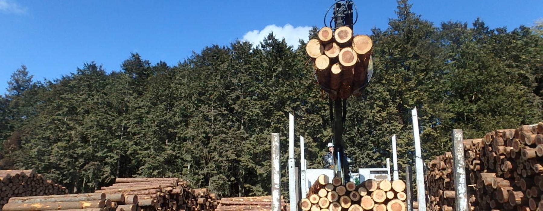 鹿沼ブランド優良スギ・ヒノキ